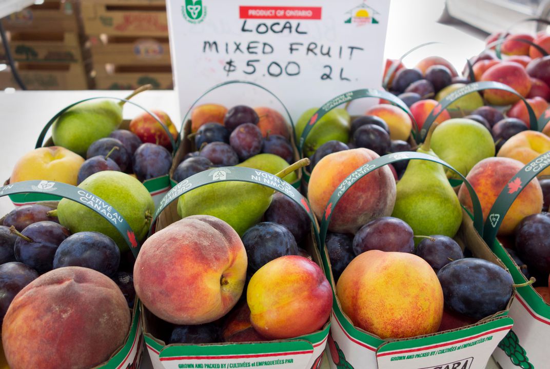 ClimateAdapt's tweet photo. Canadian Peaches and California Coffee: How Farmers Are Being Forced to Innovate in the Face of Climate Change  https://t.co/G6nNzXn7HJ https://t.co/cRBccbj7rC