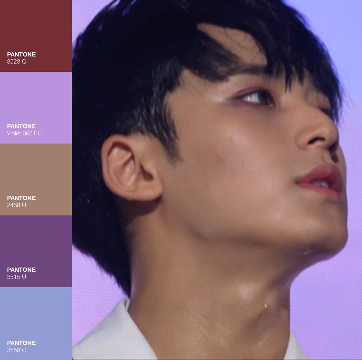 unbleached mingyu (@meianingyu) on Twitter photo 