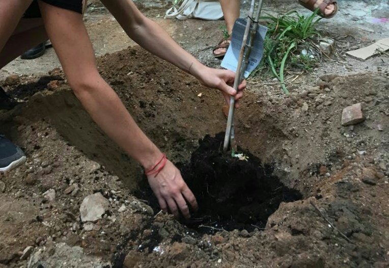 larecolectiva's tweet photo. Després de la xerrada, hem plantat una olivera a @hortdelxino i concert #Malamara #libertaddemovimiento https://t.co/kXNimEt9Cv