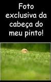 drgitirana's tweet photo. #BetaAjudaBeta https://t.co/jwnvTRSP92