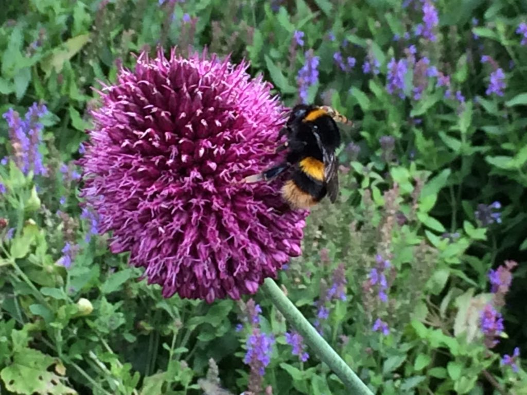 HelenSGidley's tweet photo. Lovely day out with @mgidley13 and Sarah @SledmereHouse and then dinner at #ThreeCups #StamfordBridge🌺🌹🌼🌤🍴☕️ https://t.co/wdnvWM97gt