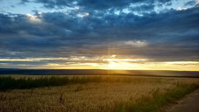 View image on Twitter