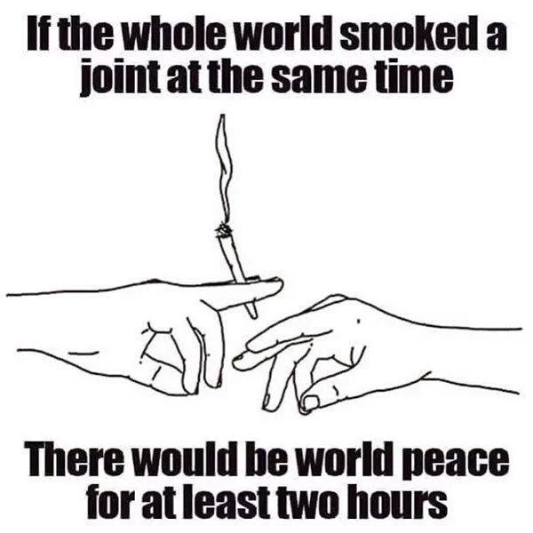 LegalizeGreenMJ's tweet photo. https://t.co/iO63G3dCYI