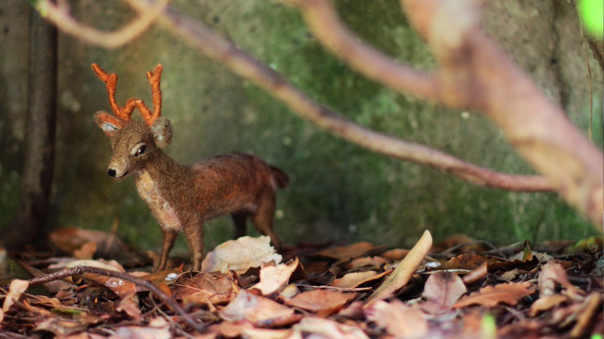 b2zone_COM's tweet image. The Cover Story of Francesca Rizzato #b2zonemagazine magazine.b2zone.com/the-cover-stor… #art #magazine #cover #photographer #b2zone