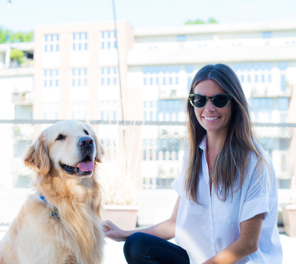 go_Karoo's tweet photo. Saturdays are best spent porch-sitting with pups! βοΈπΆ Like if you agree. #GoKaroo https://t.co/FbJtetGF3V
