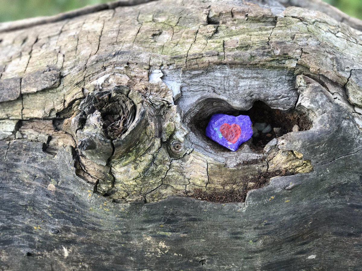 605Rocks's tweet photo. #605rocks had a blast at the Kids Rock Hunt 👍 https://t.co/t2W5AYuBmS