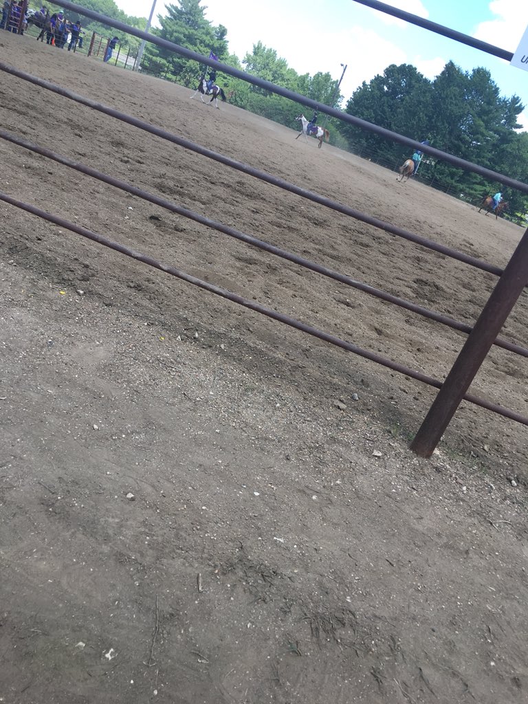 Mercede50168750's tweet photo. 🐴🐴 https://t.co/diqH9RQEVH