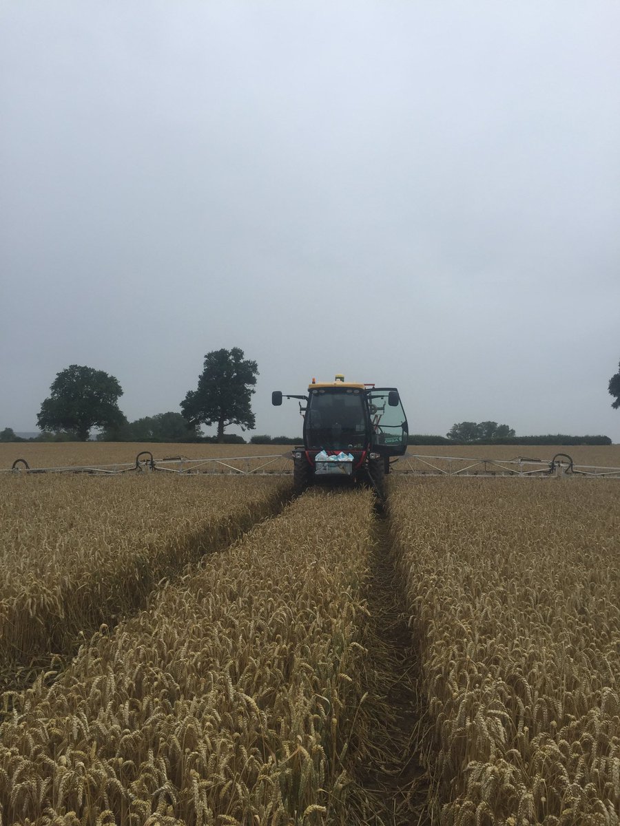 JamesWhatty's tweet photo. So today I was slug pelleting osr for #harvest2018, can you work out where it is? #undersown #innovative #pneumatic #fertilizerspreader https://t.co/4ZFahppdN9