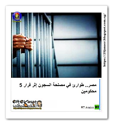 مصر.. طوارئ في مصلحة السجون إثر فرار 5 محكومين