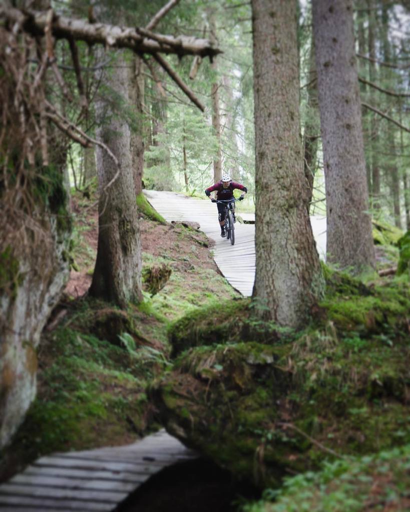 jani5700's tweet photo. Life is better on a fu*#ing bike 😉💪🏼 | #mtb #enduro #mountainbike #swiss #swissalps #flims #runcatrail #flimslaax #flimslaaxfalera #runca #… https://t.co/msB0cZLYOt