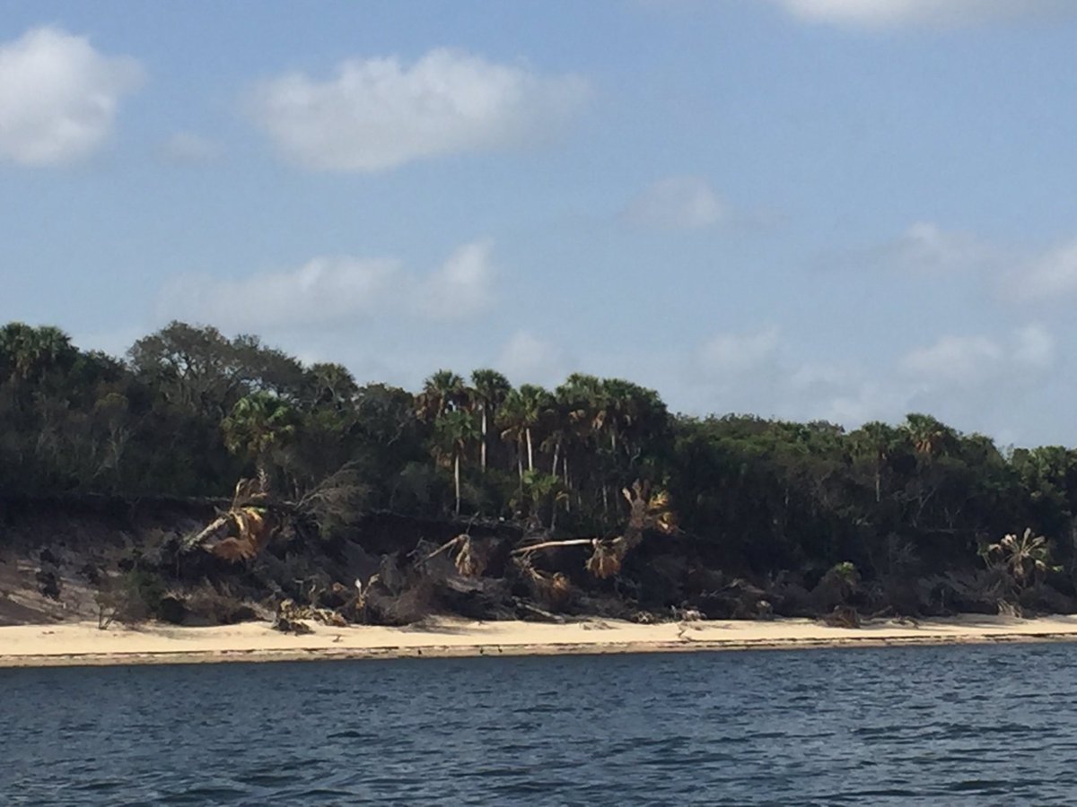 FLClimateGal's tweet image. Doing our best to make sure #FloridaAdapts in Cedar Key this week! #climate #Florida