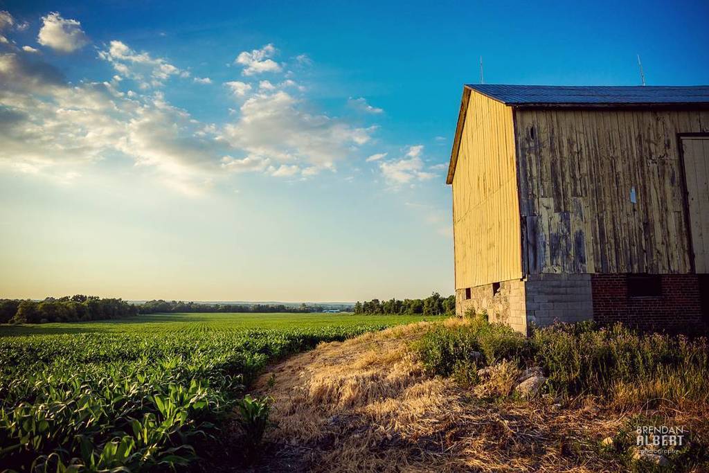 MY CANADA
#CanonCanada150 
copyright Brendan Albert Photography 
#rural #country #photo #pic #barn
#ig_masterpiece… ift.tt/2tSlh6K