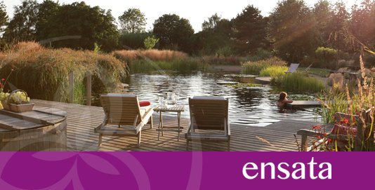 ellicarpools's tweet photo. Making the dream become a reality https://t.co/12UowsgHCe #Naturalpool #swimmingpond #organicpool #poolconversion https://t.co/aCoevImBm6