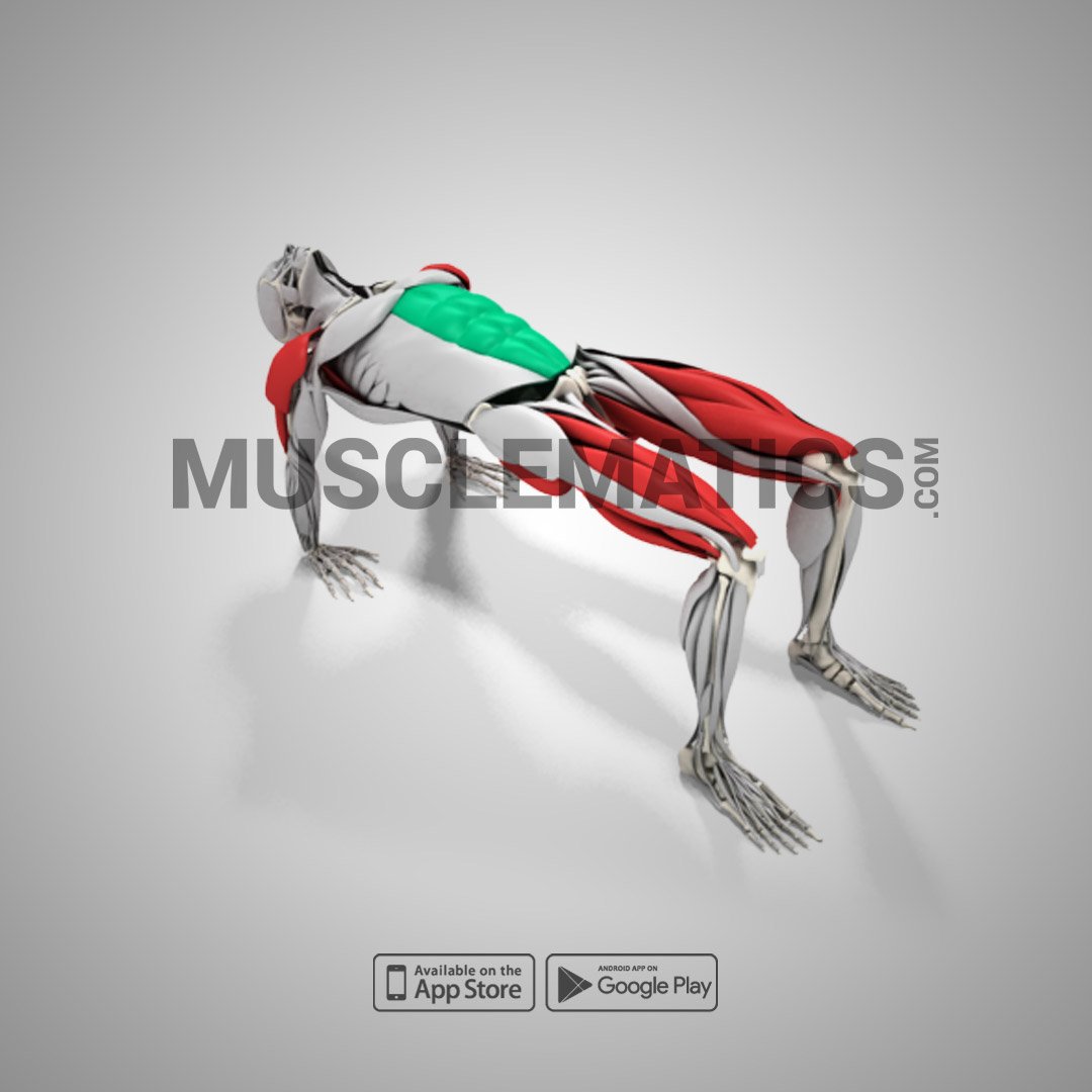 MuscleMatics's tweet photo. Focus on balance, posture, and core #muscles with this great #YogaPose ~~~> #TablePose #MuscleMaticsApp https://t.co/xziS42axEY