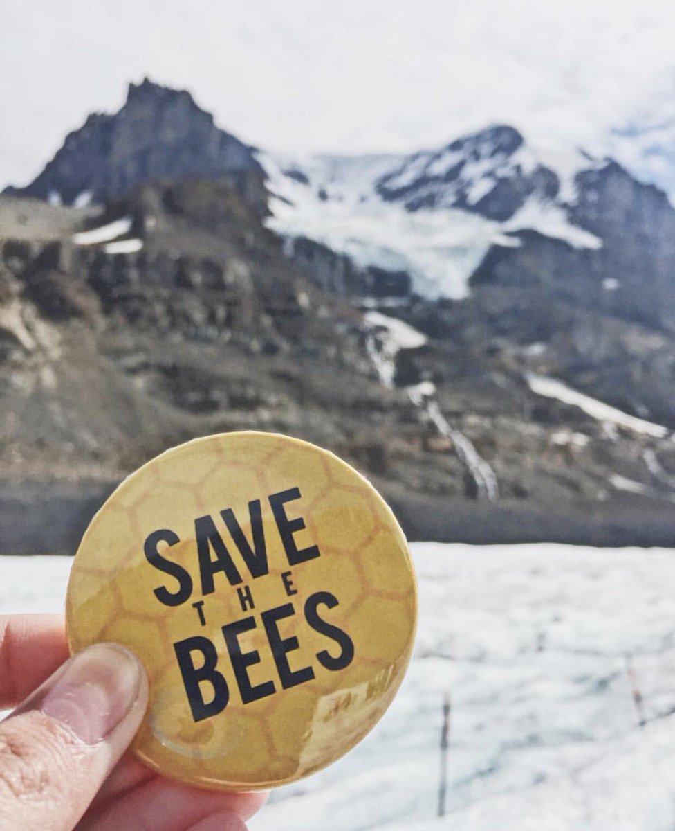 bumblevei's tweet photo. Bumble is officially #dead and no longer on the VE network, but the bees are alive &amp; well! #savethebees #doyourpart🐝💛 •📍Banff National Park https://t.co/j24QGurdGI