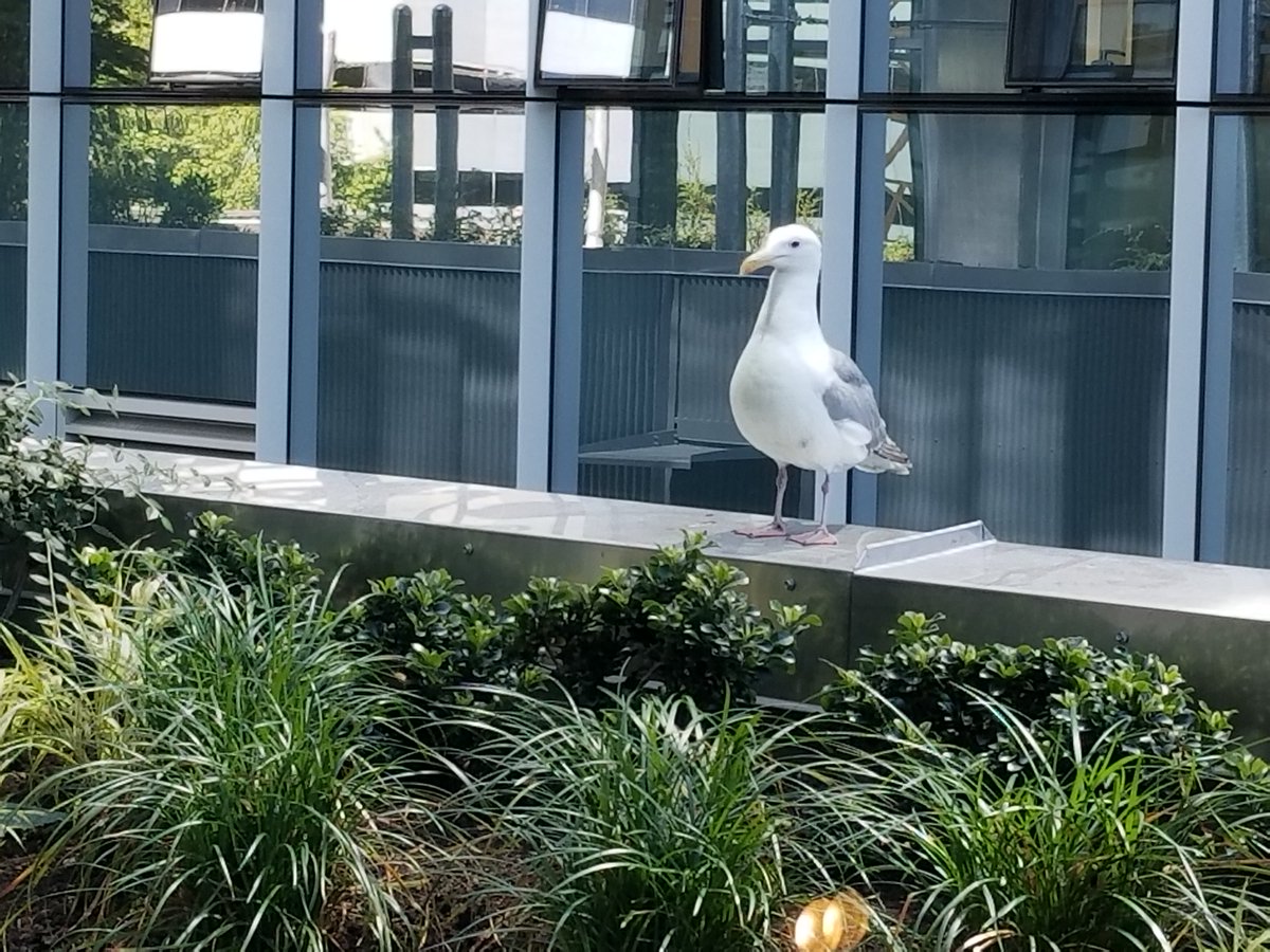 KinectsTower's tweet photo. Curious about @KinectsTower ?
#kinectyourlife #getkinected #kinects #kinectstower #securityproperties https://t.co/ZfytIy1s9o