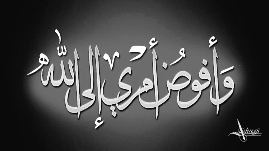 خلف كل ترقب وتأخير ، وصبر وإنتظار طويل
بشرى !  لو أنها سارعت بالتحقق لأتت مشوَّهة وناقصة
 لكنها استبطأت كي تذهلنا بالنتائج️
- فقط ثق بربك