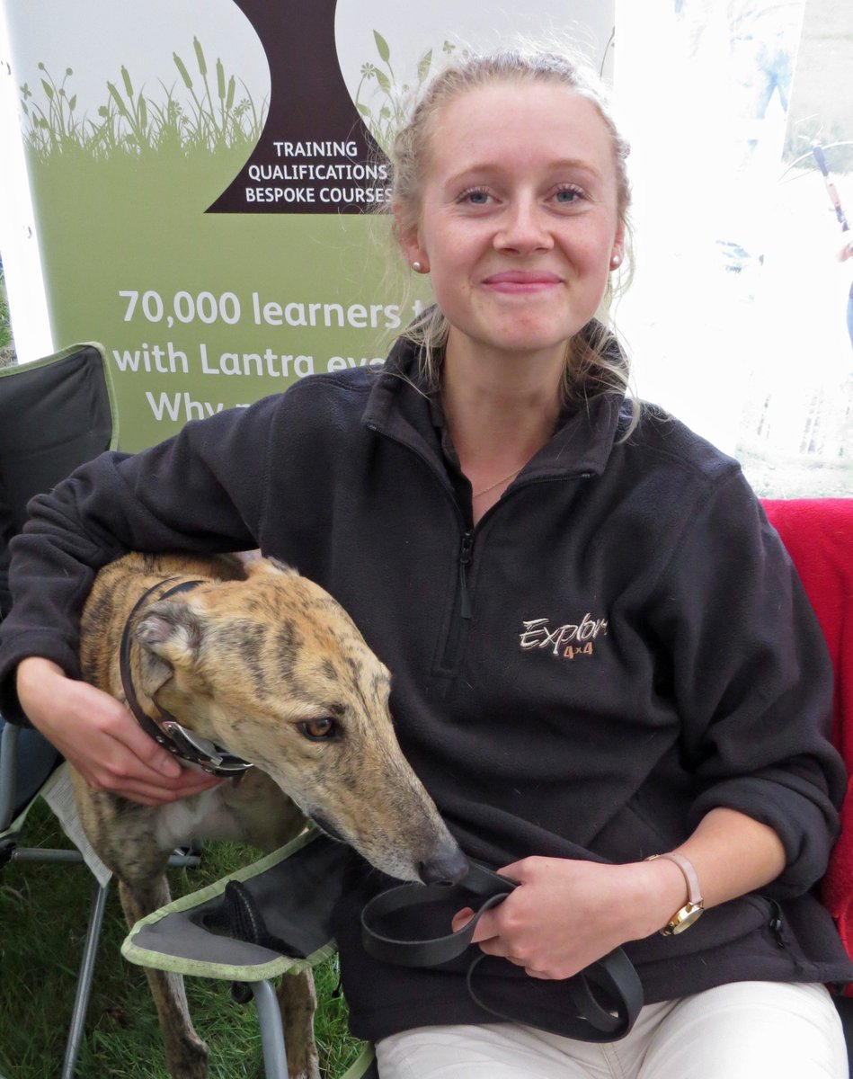 SuffolkonShow's tweet photo. Today's #dogsatsuffolkonshow #dogsoftwitter @TheISDS #englishnationalshaughleypark @Explore4x4 @CheeseAndPieMan @EoECoop @HeadwaySuffolk https://t.co/zYmHHYusvb