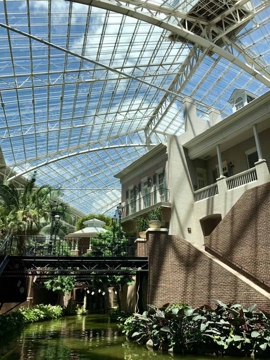 shook82's tweet photo. Another beautiful day at the National. #ASMNashville https://t.co/PwNK6SSRMT