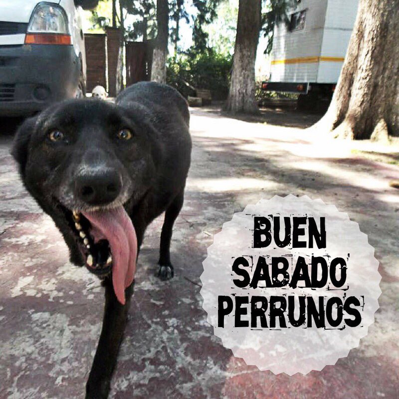 refuasis's tweet photo. Es sábado y tu cuerpo lo sabe 😏 https://t.co/Sf4UfGyXVf