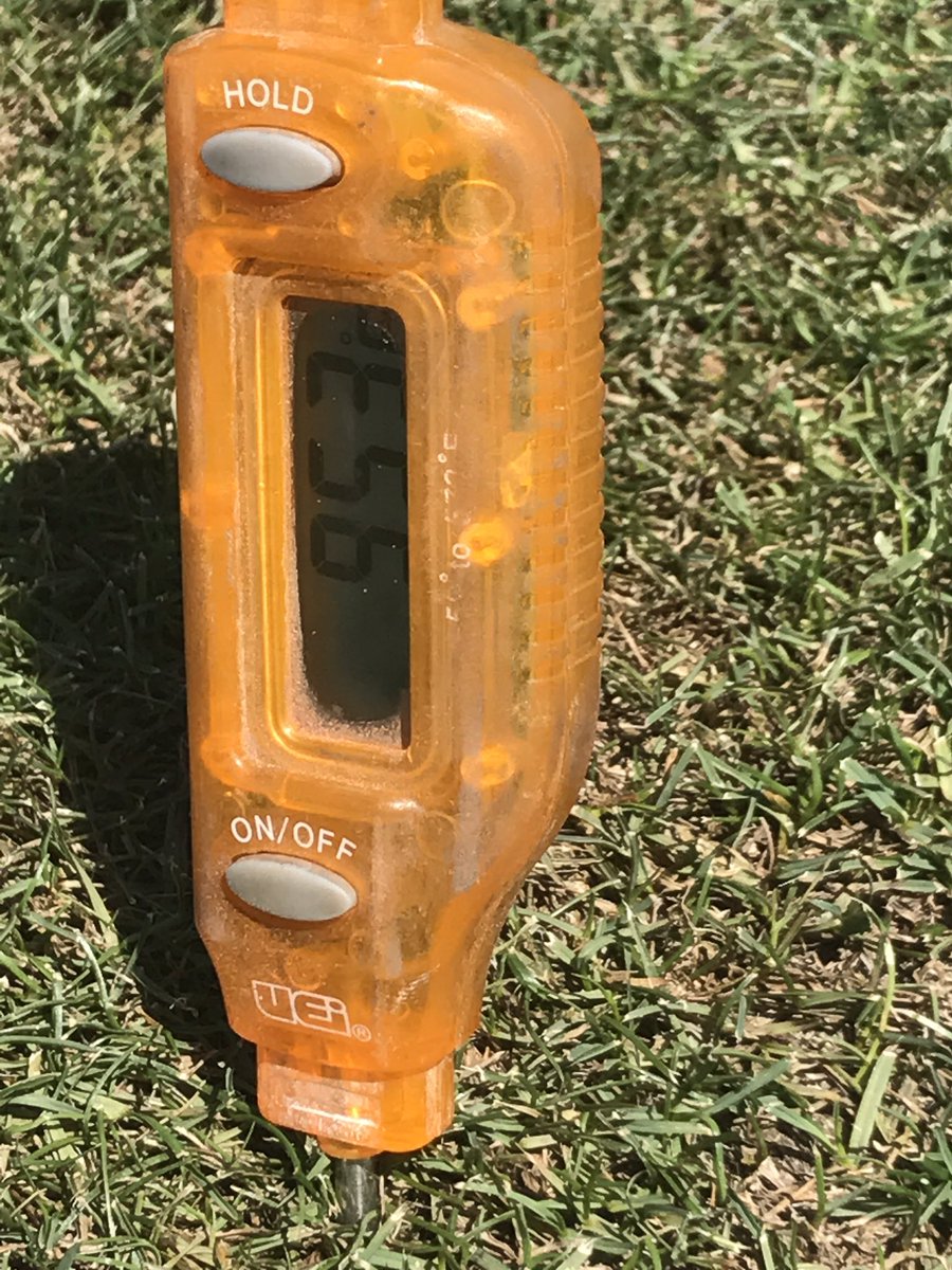 rlaubscher's tweet photo. The 'concern' for the day on the all cool-season golf course was Bermuda grass contamination in the rye/blue rough. #getrightonthat #3"deep https://t.co/kGVOdRyaFJ