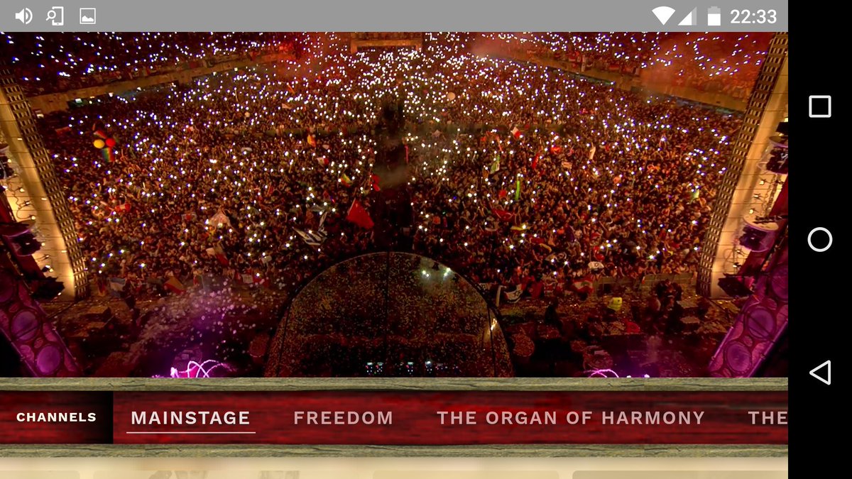 atmacg's tweet photo. This is ARMIN !
#tomorrowland
#ShowYourFlags https://t.co/DHjczeDuwl