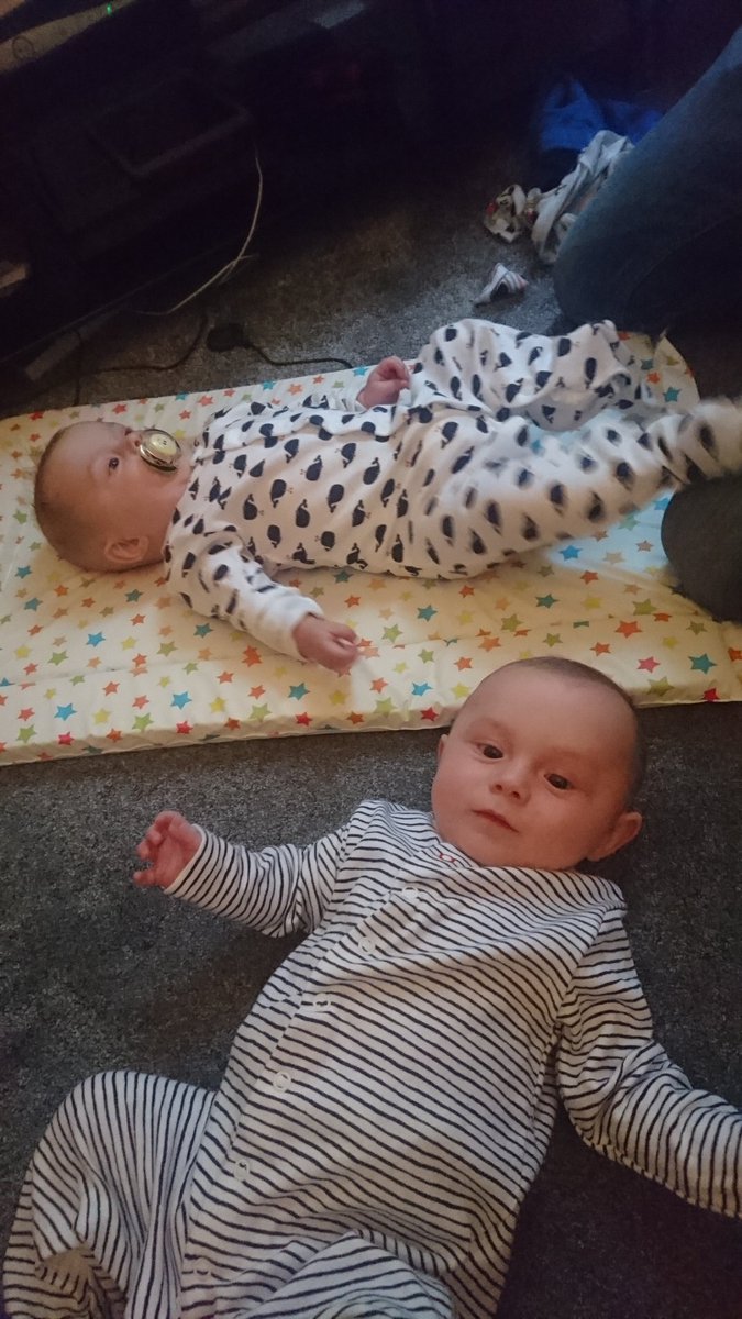 smith_dawwizer's tweet photo. Muvvers been on babysitting duty tonight... I had to stay at home pfft! Me loves hooman twin cousins... 💗 https://t.co/ICgoIB47sw