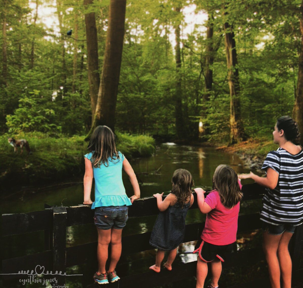 Entireloss6113's tweet image. #o2sphoto