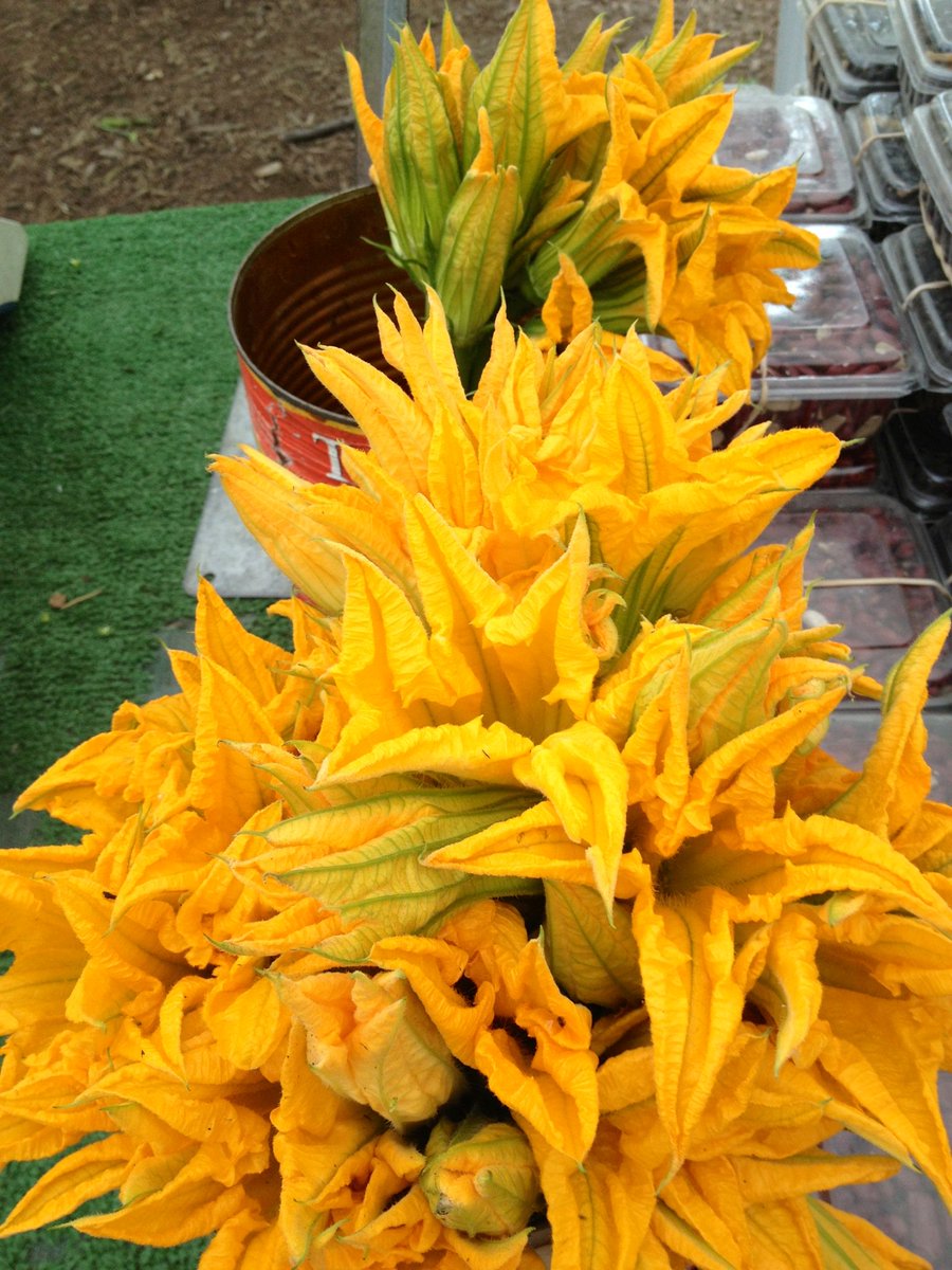 NorthPondCHI's tweet photo. Usually, you'll find delicate squash blossoms stuffed &amp; fried. This summer, we took a different approach to highlight these edible beauties. https://t.co/GouC9dcYMv
