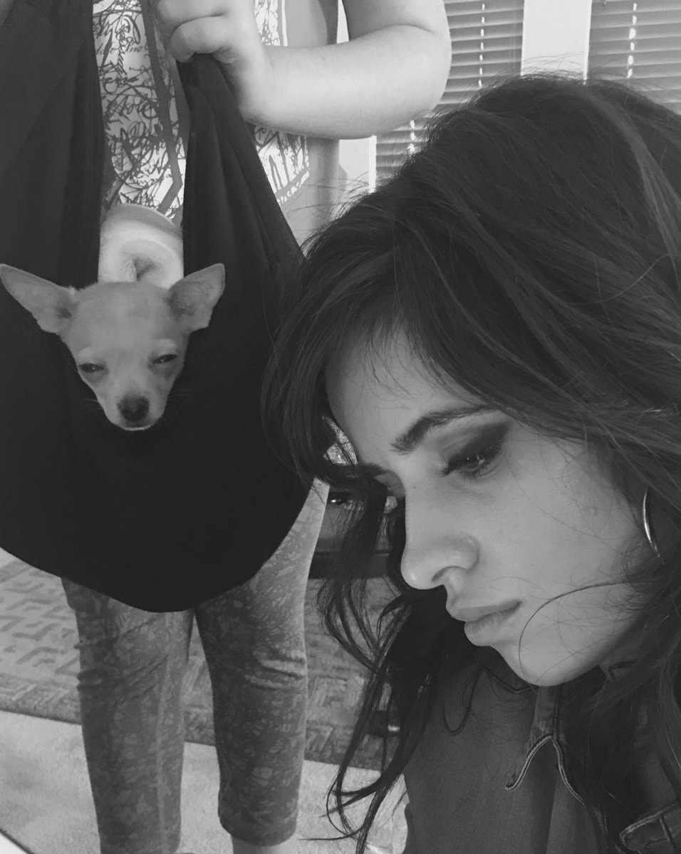 Camila_Cabello's tweet photo. oooKAAAAAY chihuahua shading the heck out of me while im just mindin my business #lookathisFACE 💀💀💀💀💀 https://t.co/q4DEpLXEw9
