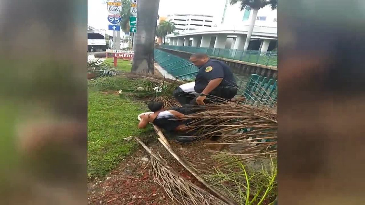 Video shows police officers rescue a man who ended up in a canal after a crash bit.ly/2tMXl0j https://t.co/8QMnXB2iD3