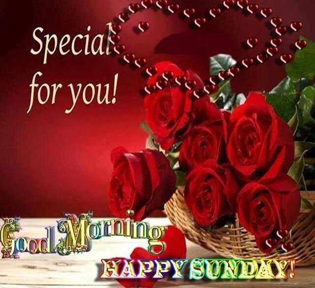 ranigill7's tweet photo. #GOOD MORNING  WOW!!!!NEW DAY SUNDAY THE FUNDAY
#3Oth JULY  LAST WKND 
#WISHING YOU ALL A WONDERFUL DAY
#BE HAPPY 
#BE BLESSED CHEERS https://t.co/PpbhFYwn0s