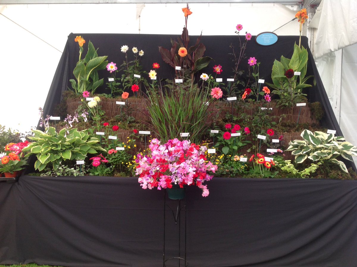 Jack Gott tweet media