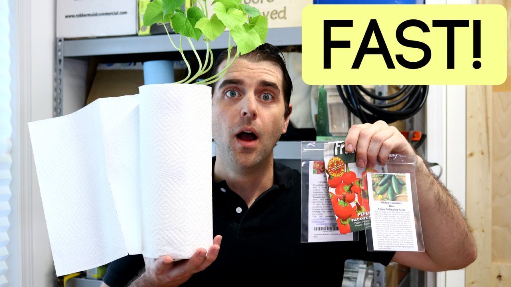 MooreApproved's tweet photo. How To Grow Seeds Fast Indoors | Paper Towel Germination &amp; 10 Day Seedling Update EASY https://t.co/UmIRI0nmrd https://t.co/7KPO207CR5