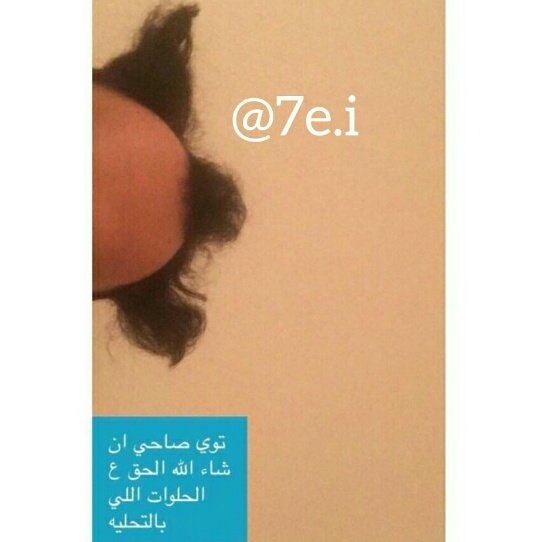 #سعودي_يودع_الاسلام 
يشبه شرشبيل الي ب السنافر