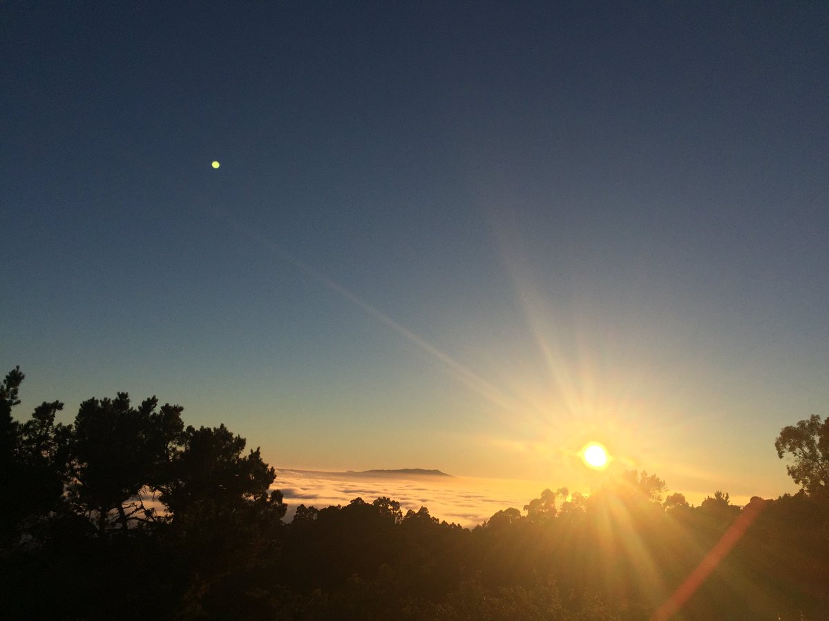 nagnagnag's tweet photo. #sunsetready https://t.co/KLj17D7REN