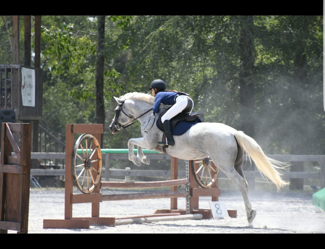 deejayjaytee1's tweet photo. My daughter competing today in hunters run https://t.co/r2le8zExzQ