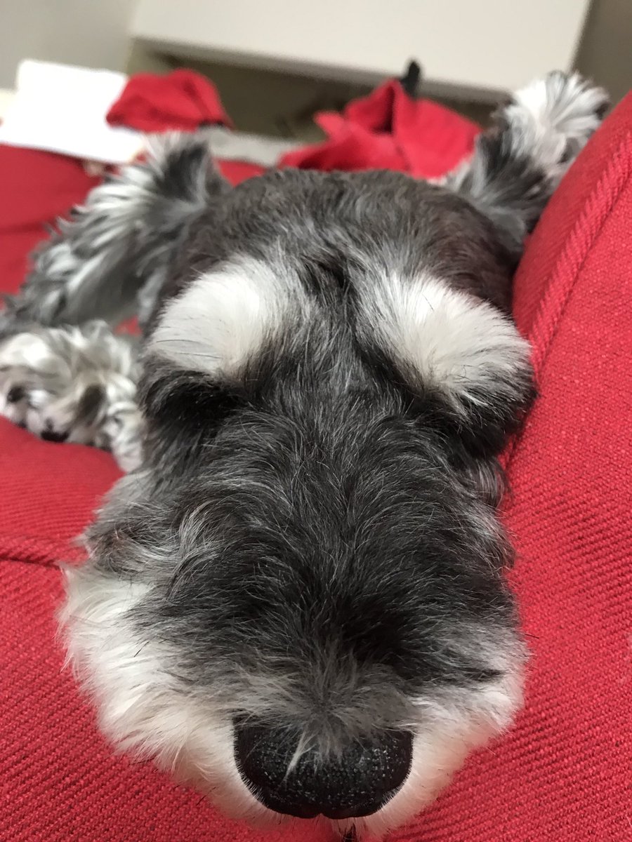 texture_hiro's tweet image. 今日も腰が痛くこんな感じm(_ _)m