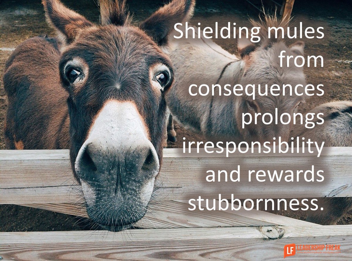 Leadershipfreak tweet picture