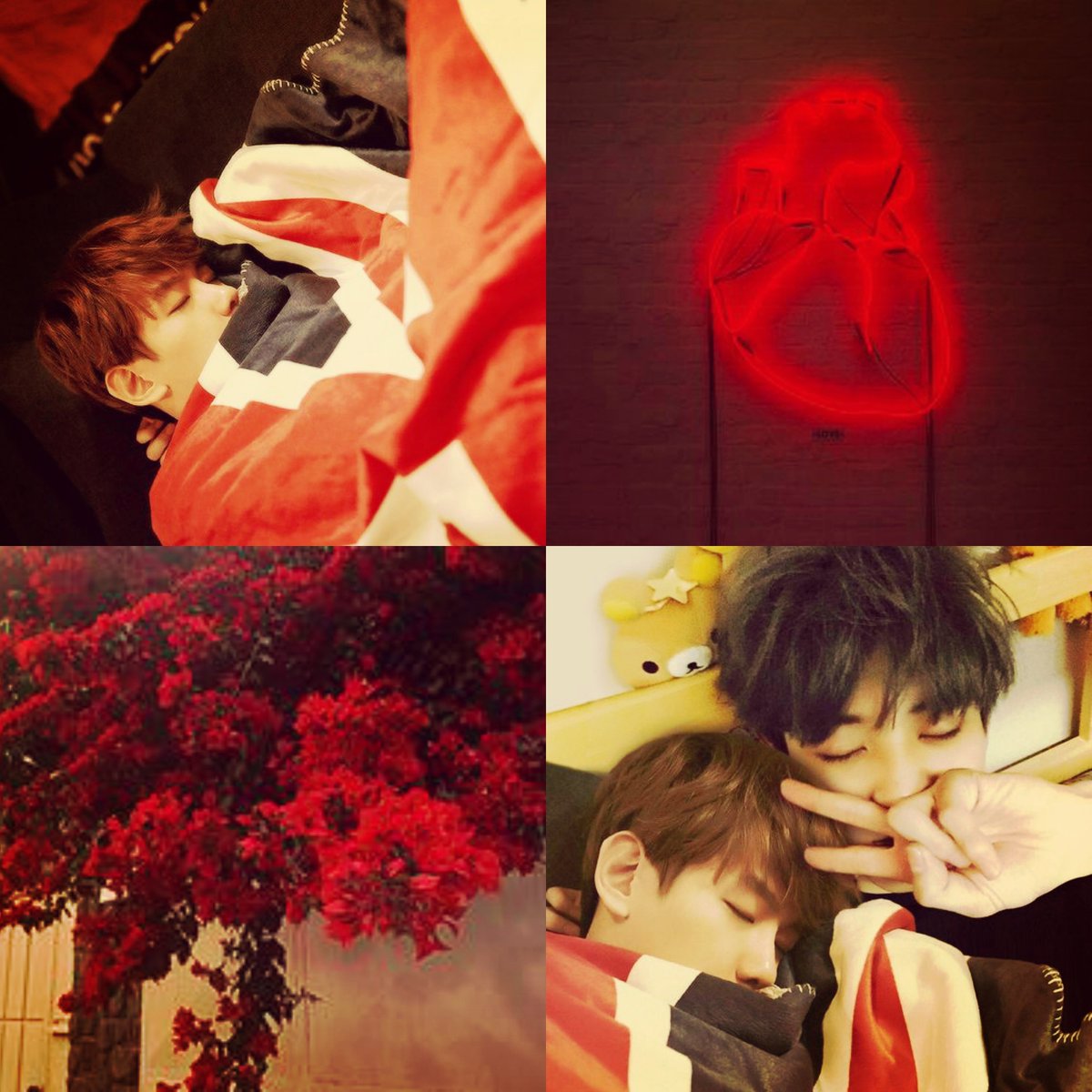 Chanbaek 🔞 tweet media