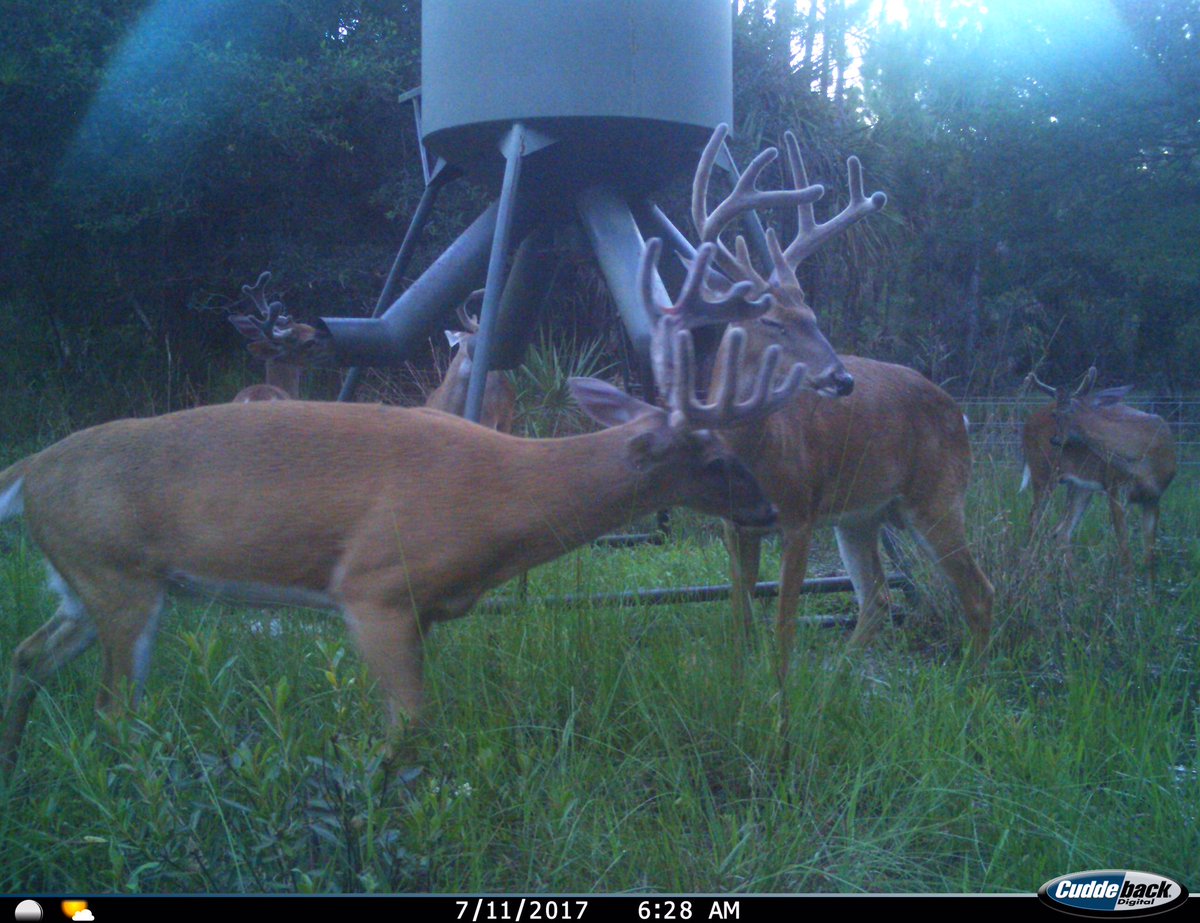 Mike Flaskey tweet media