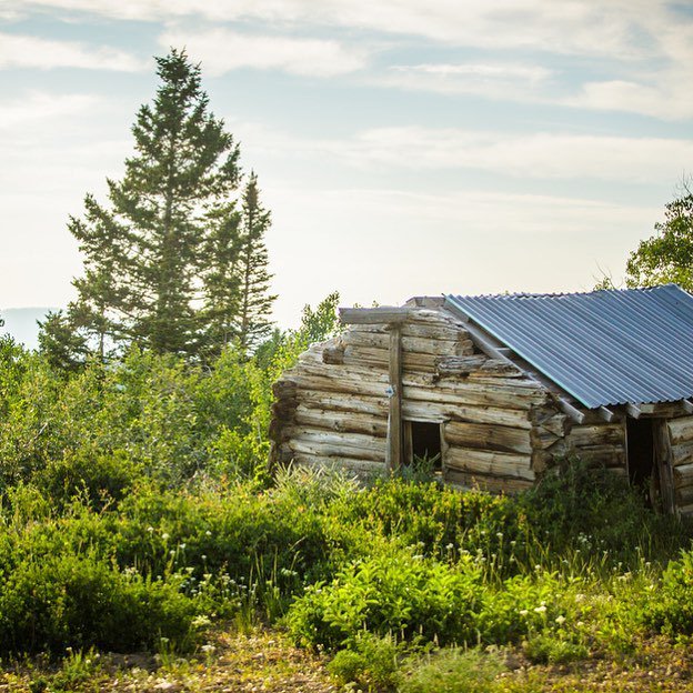 Vault_Cargo's tweet photo. If these walls could talk...
#outdoors #vaultcargo #shareyouradventure #cabin https://t.co/3udgh5jB7T