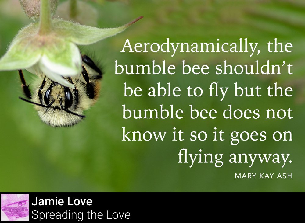 JamieAnneLove's tweet photo. Ignorance can be bliss when it comes to self-limiting beliefs. https://t.co/ViuKcVz8T9