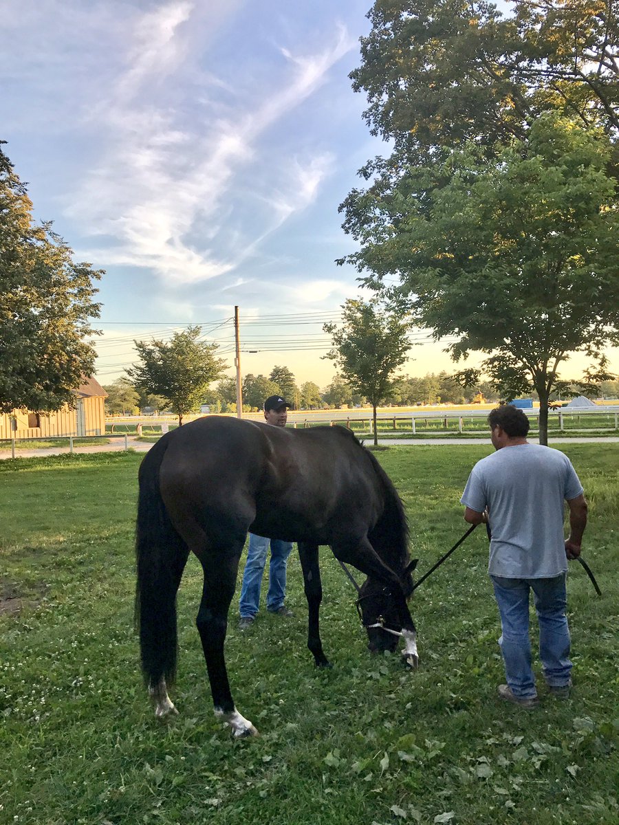 Riley_Mott's tweet photo. Good Samaritan post-Jim Dandy victory #Saratoga #TeamMott https://t.co/Fse0b2sX0r