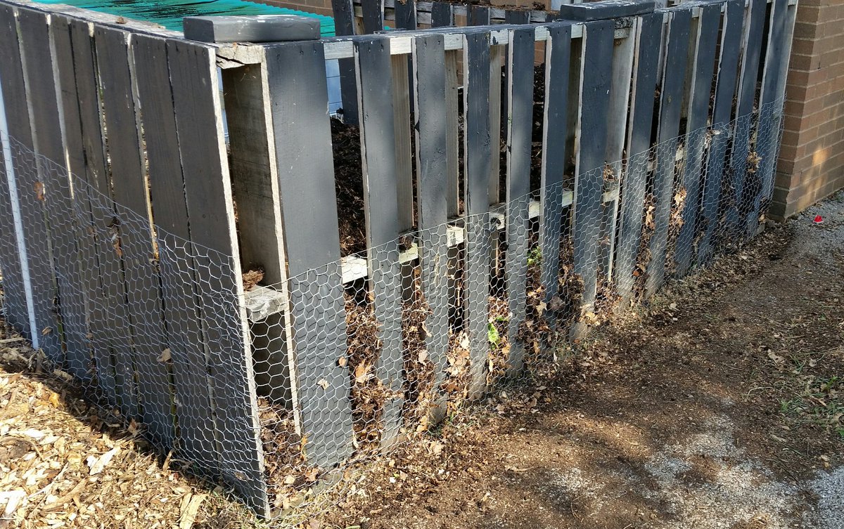 wnchem's tweet photo. Observed a skunk last wk. Skunks are diggers, not climbers. Put 2-ft fence around sunflowers & 2 compost bins. #FirstAttempt #ProbSolving https://t.co/hAwNnOIF06