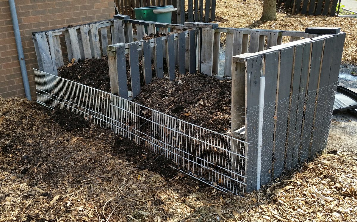 wnchem's tweet photo. Observed a skunk last wk. Skunks are diggers, not climbers. Put 2-ft fence around sunflowers & 2 compost bins. #FirstAttempt #ProbSolving https://t.co/hAwNnOIF06