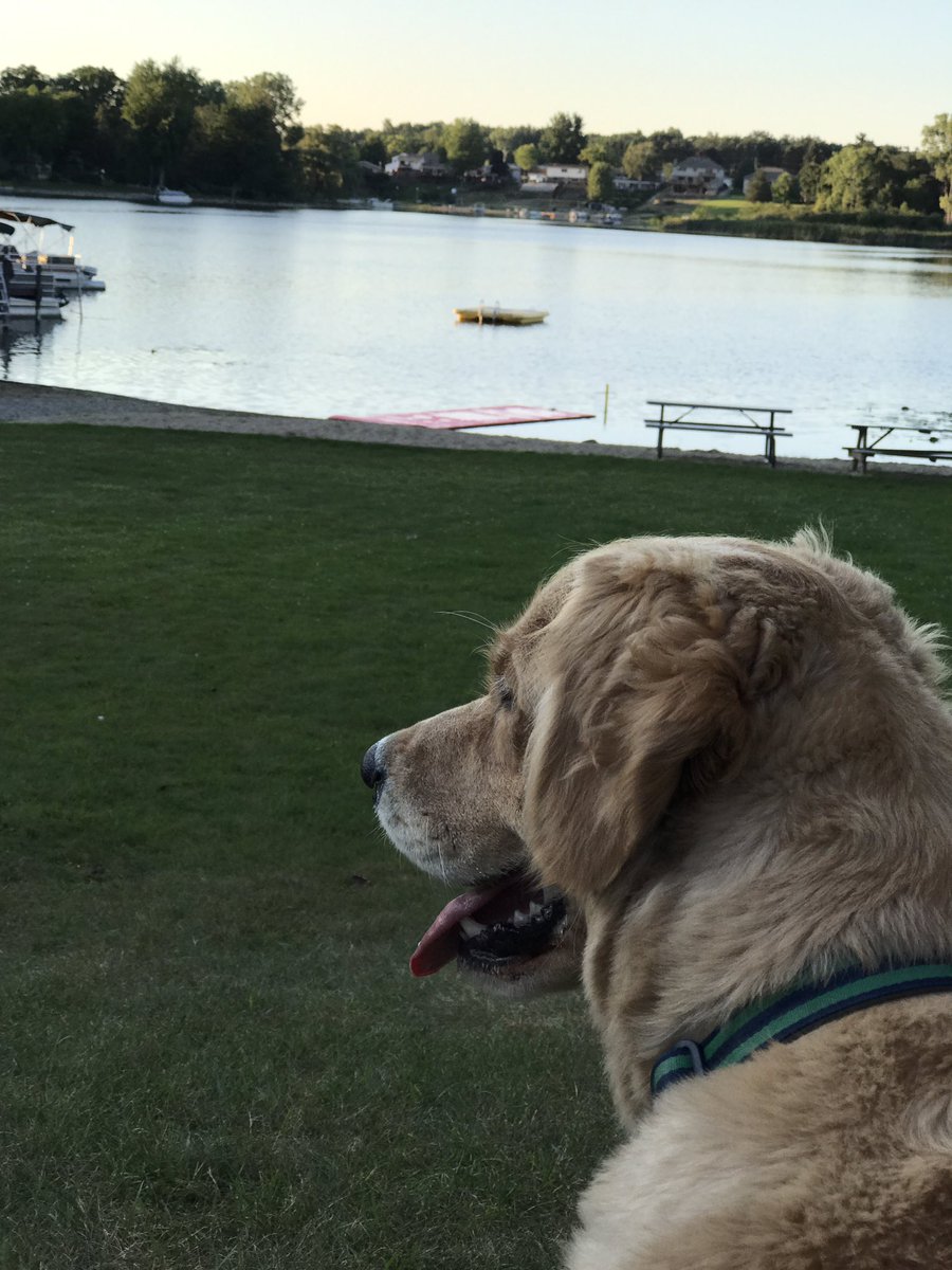 GusTheGolden's tweet photo. #LakeLife https://t.co/7YIAIXi9No
