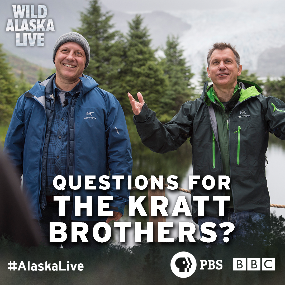 PBS's tweet photo. Head over to our Facebook page for a LIVE Q&amp;A with @TheKrattBros at 9:15p ET. #AlaskaLive https://t.co/7U0kMopCQg https://t.co/XzLTafpwHq
