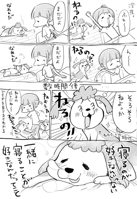 犬と猫どっちも飼ってると、寝る時もますますたのしい。 