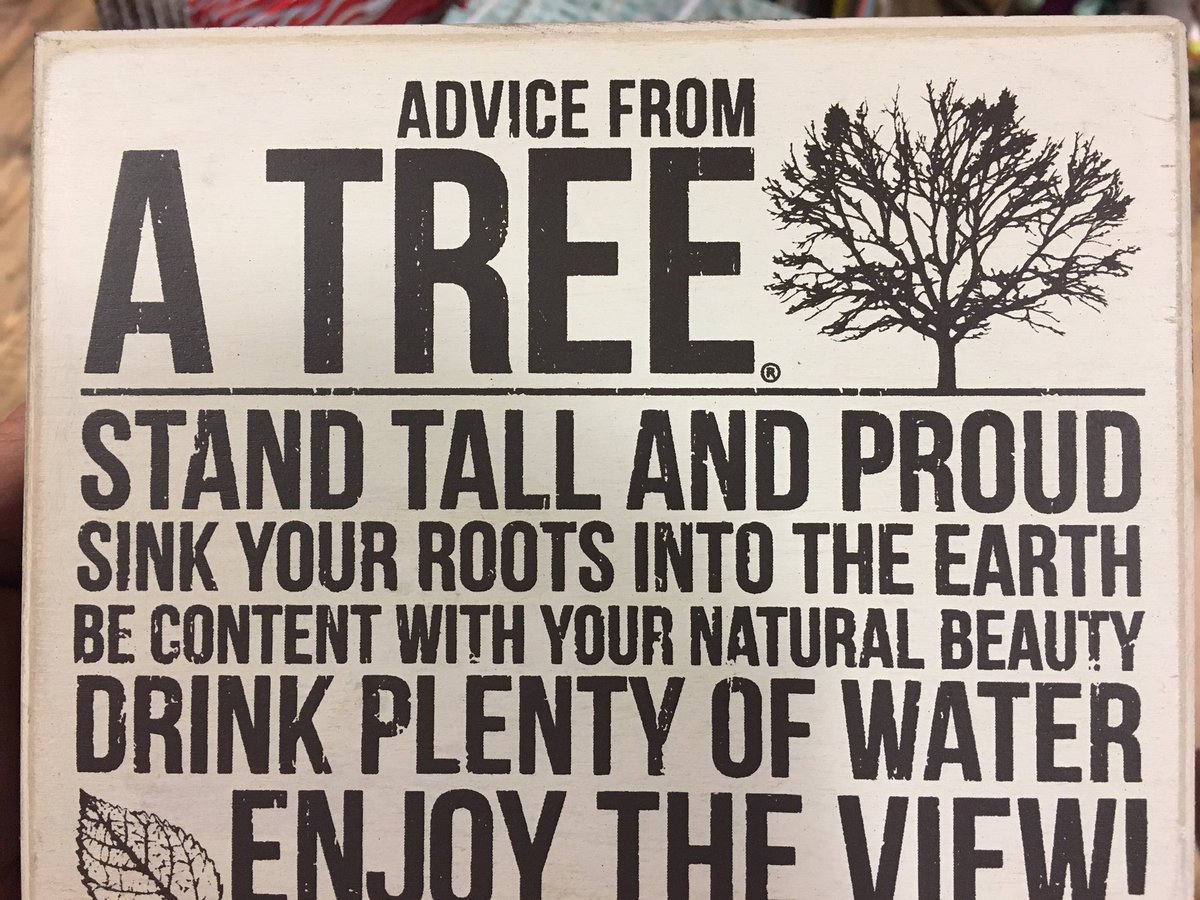 brtreeguru's tweet photo. Not much else to say!! https://t.co/3fAhAQQ7xi